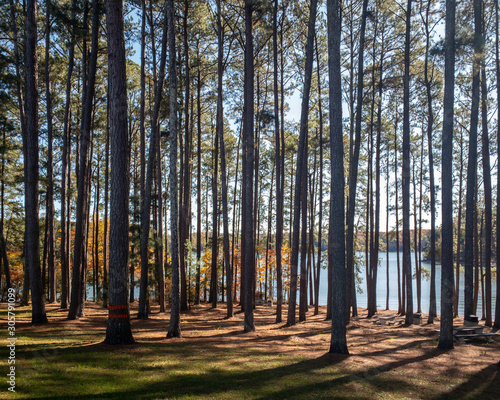 Anderson, South Carolina, United States - November 24, 2019: Interstate highway (I-85) rest area near Anderson, South Carolina