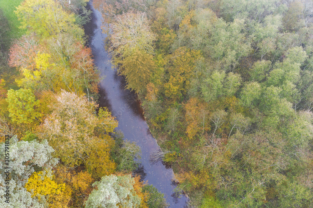 Forest in autumn colors. Colored trees and a meandering blue river. Red, yellow, orange, green deciduous trees in fall. Peetri river, Estonia, Europe