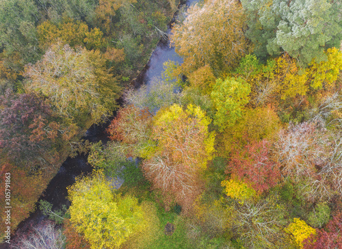 Forest in autumn colors. Colored trees and a meandering blue river. Red, yellow, orange, green deciduous trees in fall. Peetri river, Estonia, Europe