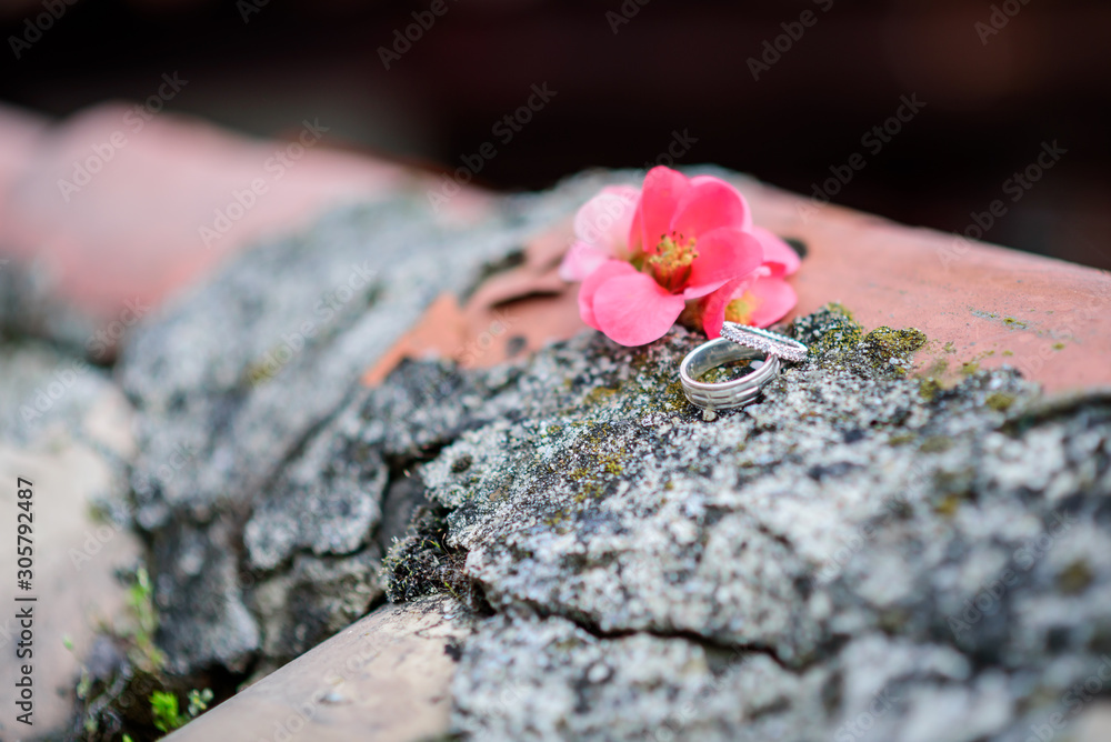 Beautiful pink flower near two golden wedding rings on stone in blur outdoors, close up. Free space Beautiful pink flower near two golden wedding rings on stone in blur outdoors, close up. Free space