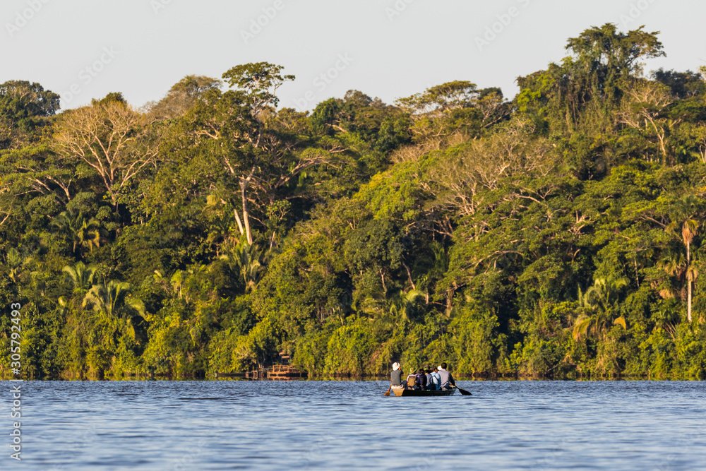 Tropical forest on the Sandoval lake. Tambopata, Peru.