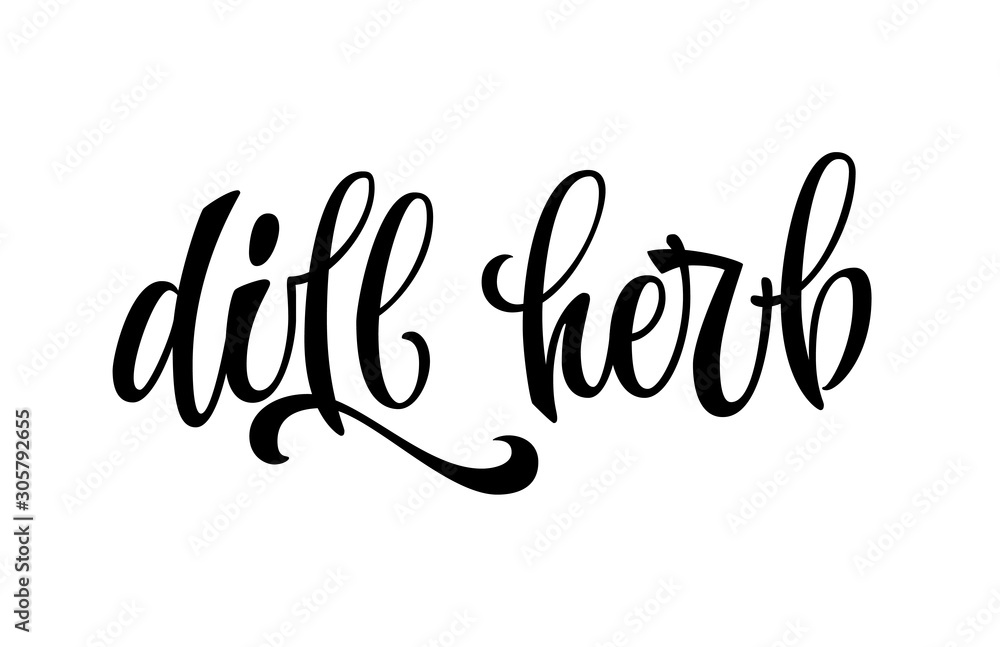 Vector hand drawn calligraphy style lettering word - dill herb. Labels, shop design, cafe decore etc Isolated script spice text logo. Vector hand drawn calligraphy style lettering word - dill herb. Labels, shop design, cafe decore etc Isolated script spice text logo.