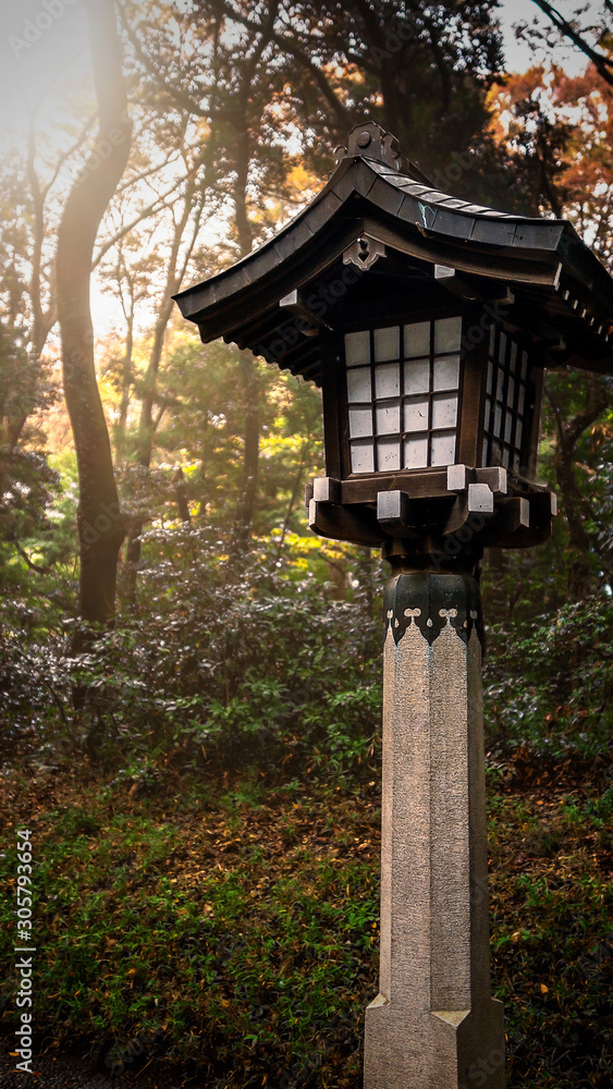 Fototapeta premium Meiji Details