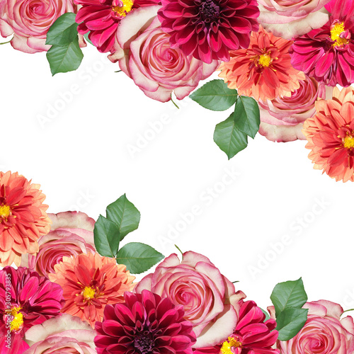 Beautiful floral background of dahlias and roses. Isolated