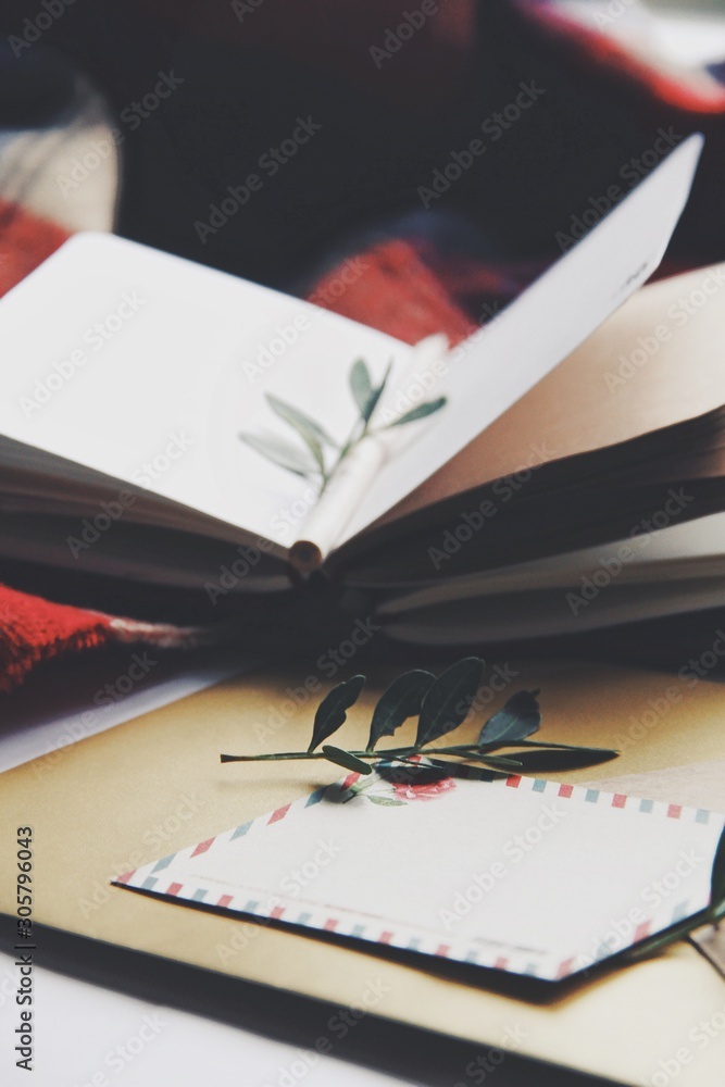 Opened book and leaves, autumn home comfort and warm light