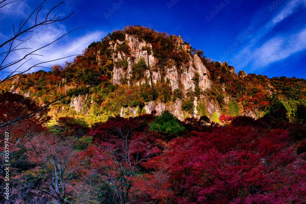 一目八景の紅葉