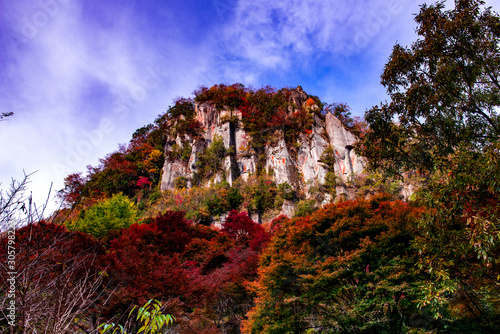 一目八景の紅葉