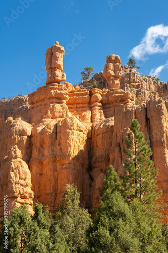 Red Canyon on the Dixie National Forest at the entrance of Bryce Canyon National Park, Utah, USA
