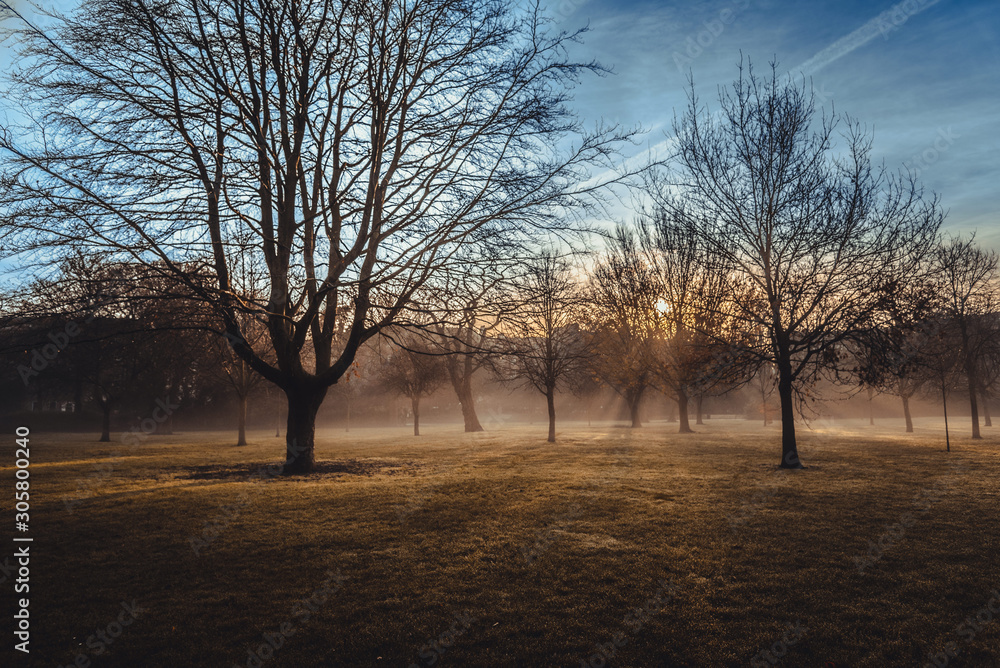 Sunrise in foggy park shining with sun rays through the trees and branches. Beautiful scenic view on a silent and tranquil morning in an empty, vivid and colorful park. Sunrise in foggy park shining with sun rays through the trees and branches. Beautiful scenic view on a silent and tranquil morning in an empty, vivid and colorful park.