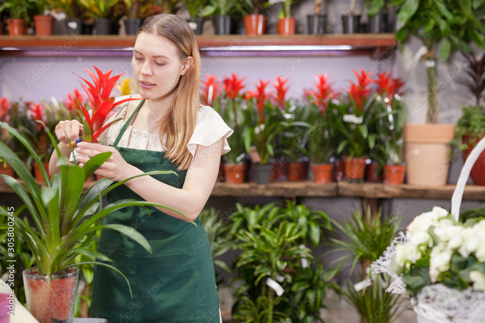 Friendly smiling female florist holding a pot with a home plant in the floral shop