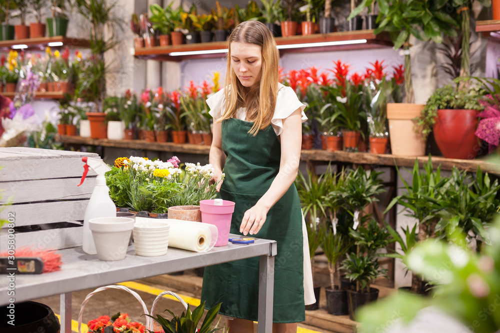 Female florist working in a flower store, making houseplants ready for the customer