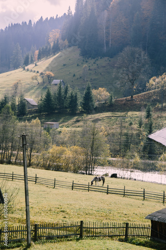 Amazing mountain lanscape in the wild Carpathians