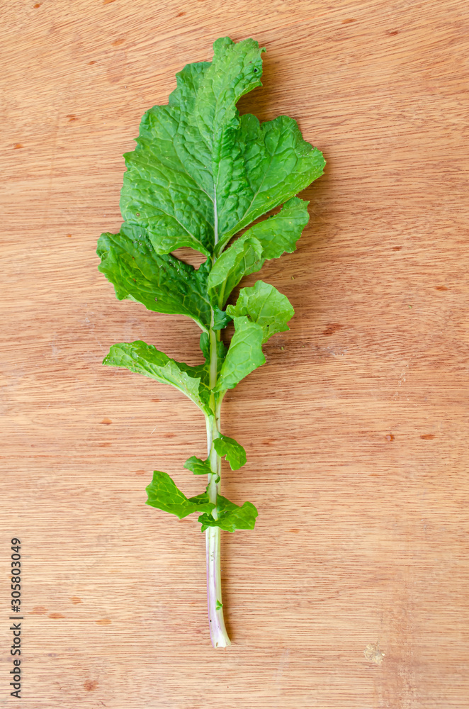 Turnip Leaf Turnip Leaf