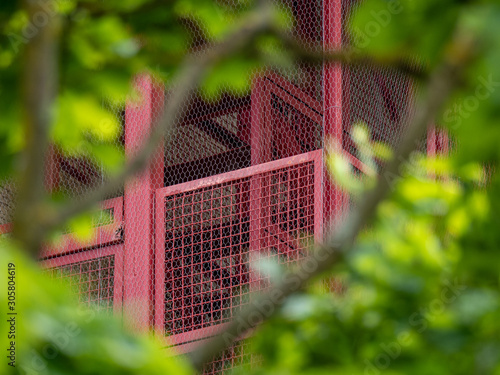 Pink cage photo