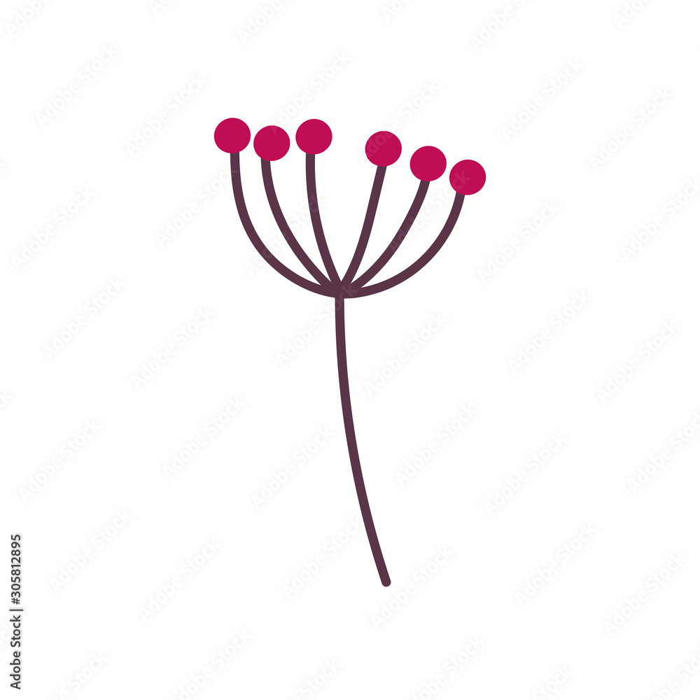 botanical branch seeds fruits nature icon botanical branch seeds fruits nature icon