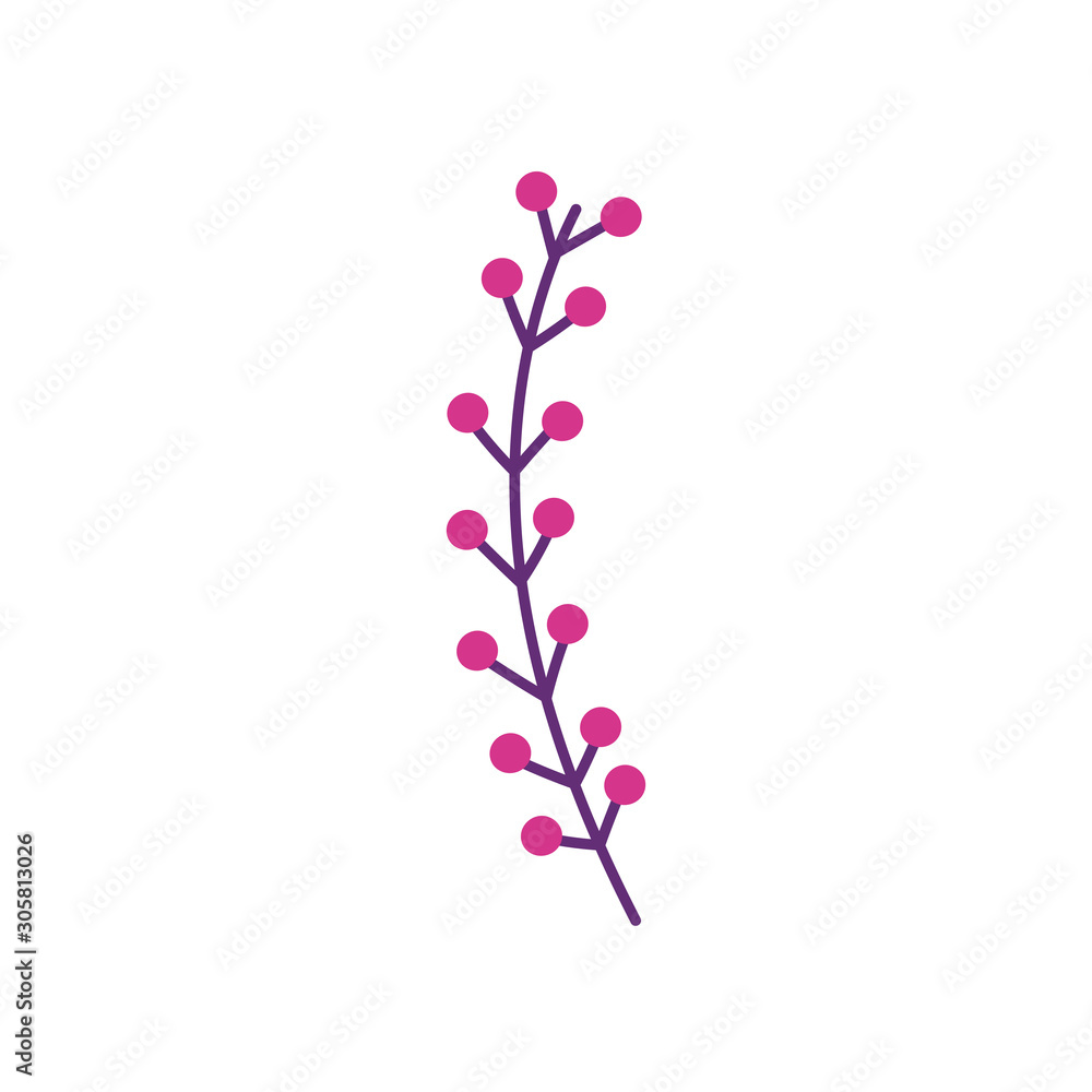 branch stem berry botanical icon branch stem berry botanical icon