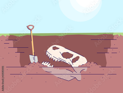 Dinosaur skull excavation flat vector illustration. Prehistoric animals researching. Paleontological expedition. Bones of extinct animal in ground, shovel. Skeleton and spade cartoon backdrop