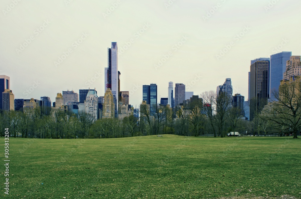 Fototapeta premium The Central Park of New York City. 