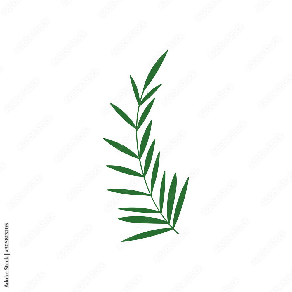 Naklejka premium foliage leaves branch nature icon
