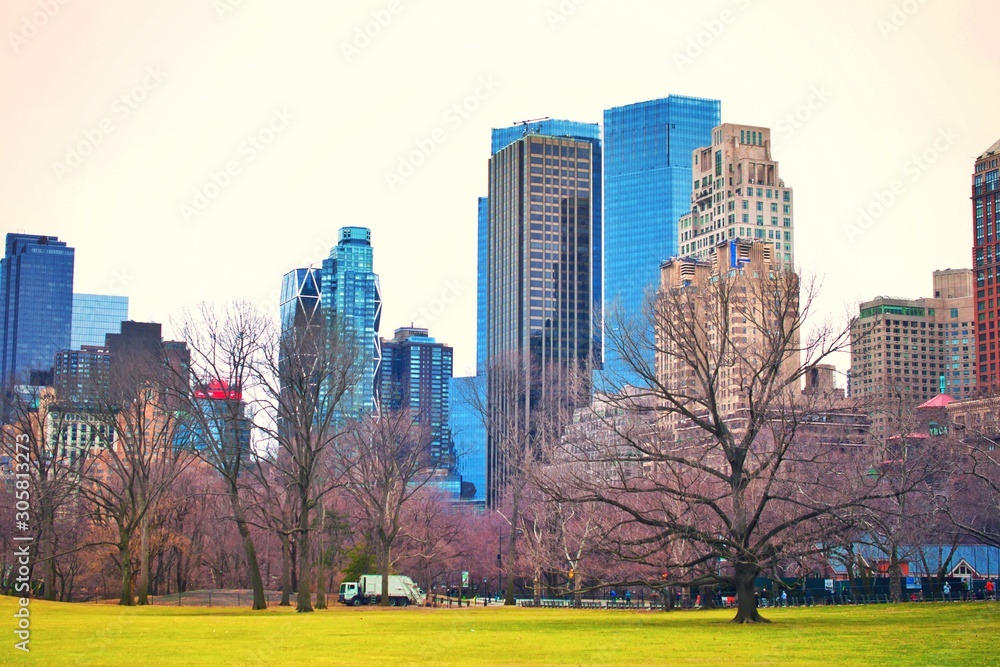 Fototapeta premium The Central Park of New York City. 