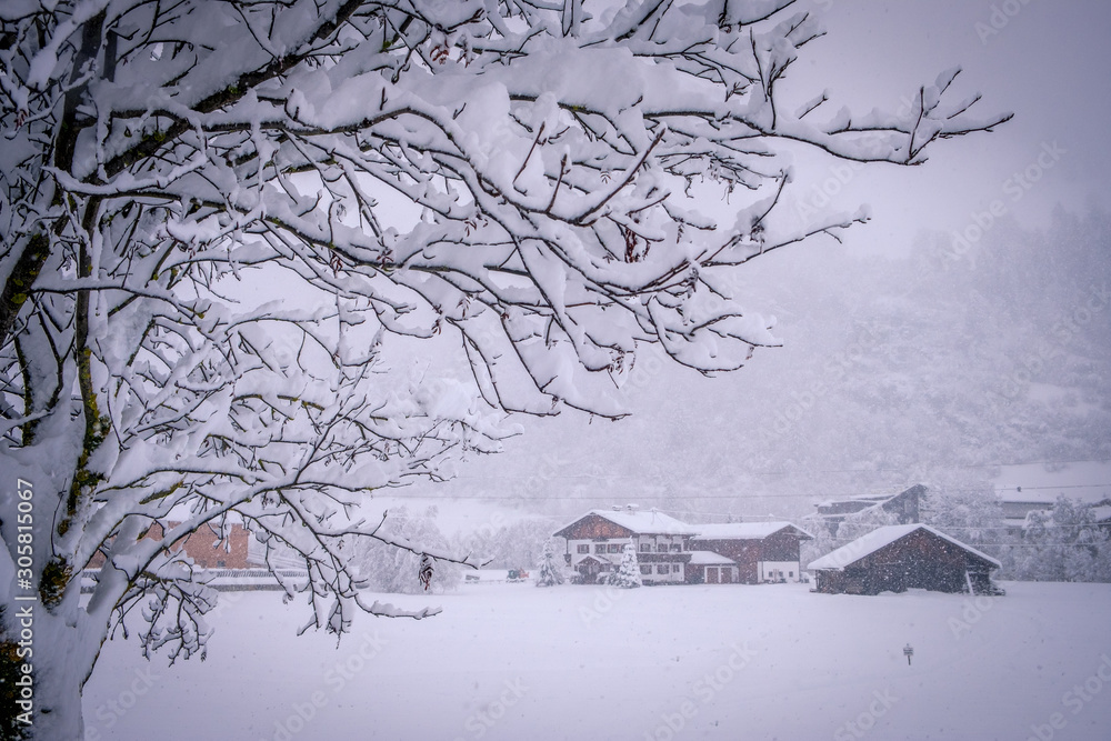 Plakat Winter landscape in the city of Neustift in the Stubai Valley in Austria. View of a typical austrian house through tree branches