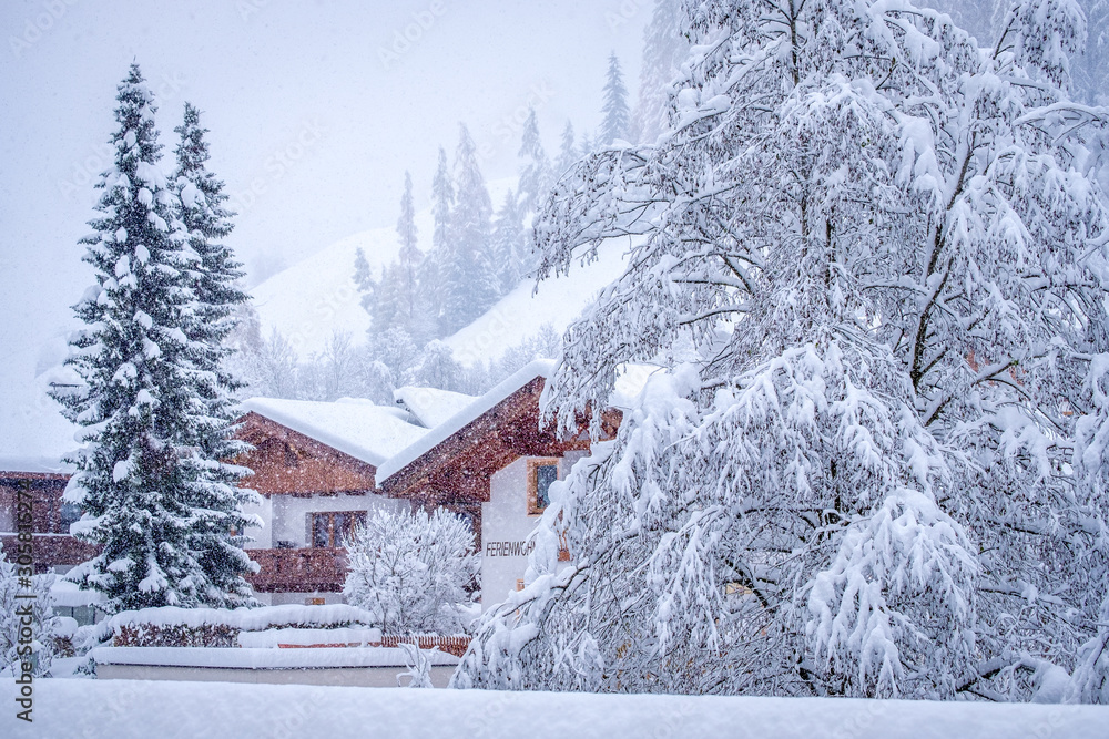 Winter landscape in the town of Neustift in the Stubai Valley in Austria. Snow covered trees after heavy snow Winter landscape in the town of Neustift in the Stubai Valley in Austria. Snow covered trees after heavy snow