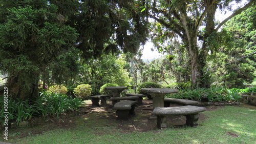 bench in the park