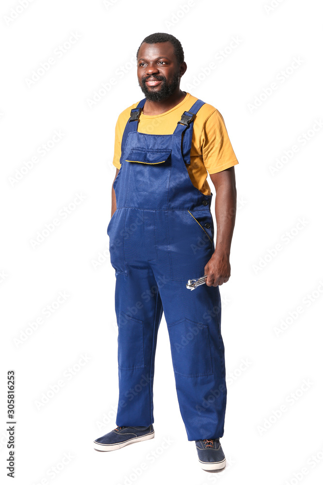 African-American car mechanic on white background African-American car mechanic on white background