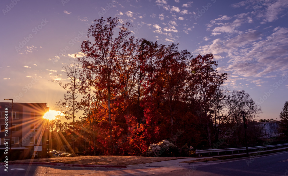 Naklejka premium Sunset by a condo during the fall season