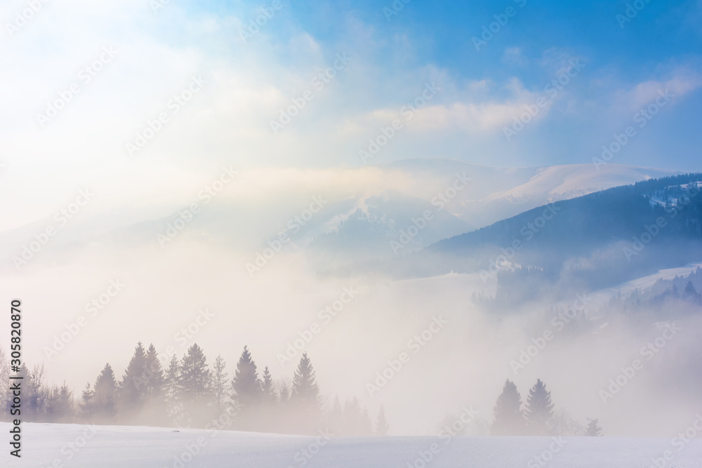 blizzard in mountains. magic scenery with clouds and mist on a sunny winter morning. trees in fog on a snow covered meadow. borzhava ridge in the distance. cold weather forecast concept