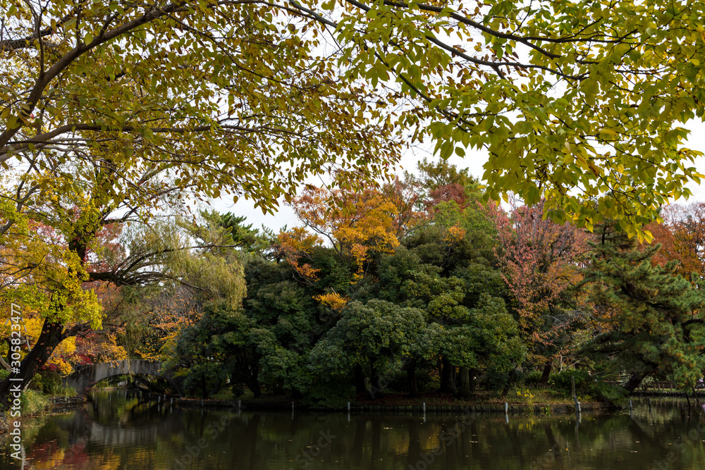 (東京都ｰ風景)木々が紅葉する公園の風景７