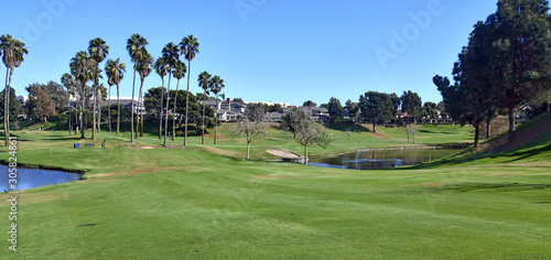 Green manicured grass of golf course fairway grass and rough with water and palm trees