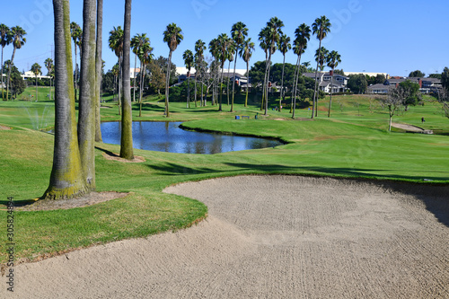Canvas Print Green manicured grass of golf course fairway grass and rough with water and palm