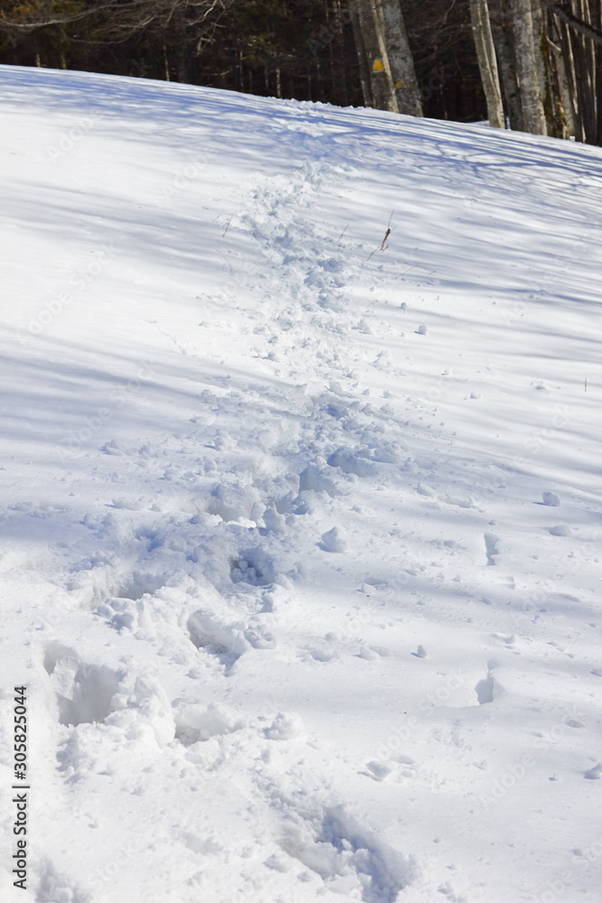 Feet tracks on snow on a Winter hiking trail in the Carpathian mountains, Romania, Europe.