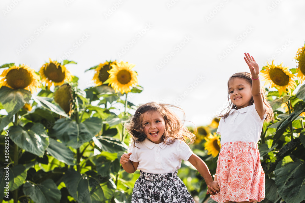 Little girls among of a sunflower among a field of sunflowers in the evening. Summer concept Little girls among of a sunflower among a field of sunflowers in the evening. Summer concept