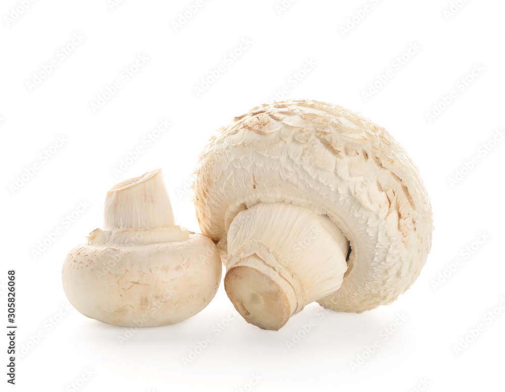 Fresh champignon mushrooms on white background Fresh champignon mushrooms on white background