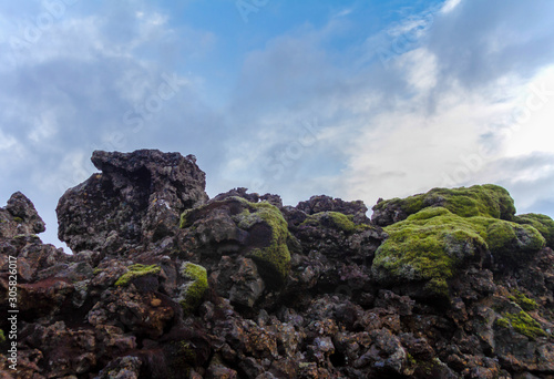 algae on rocks