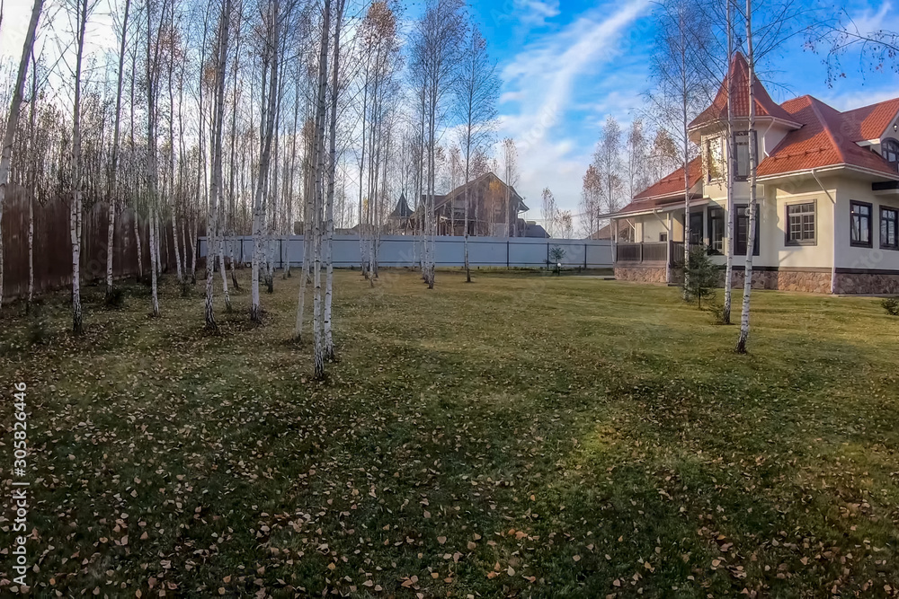 New house with plot planted with birch trees. Beautiful home own