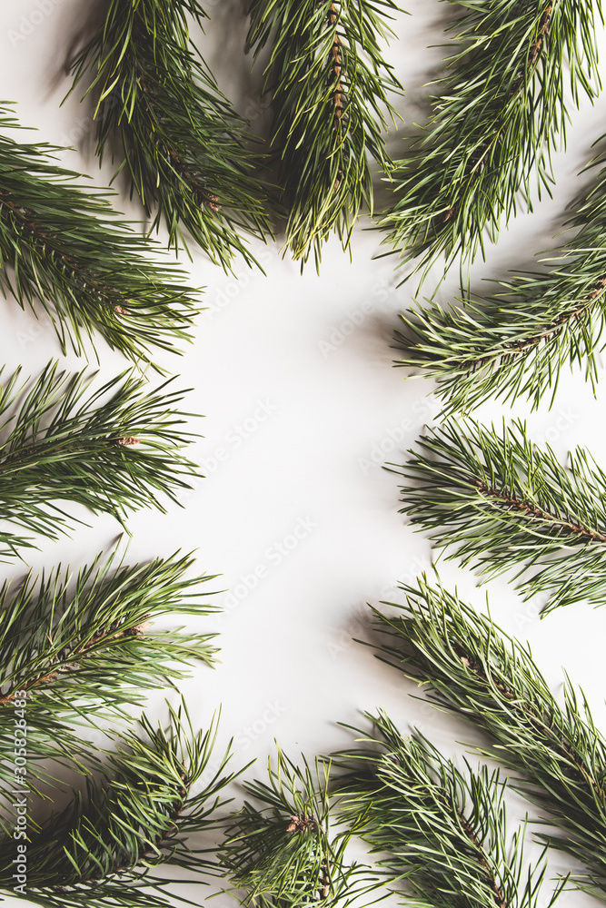 Christmas tree branches border over white background.