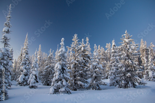 Incredibly Beautiful Deep-Winter Landscape -- Montana