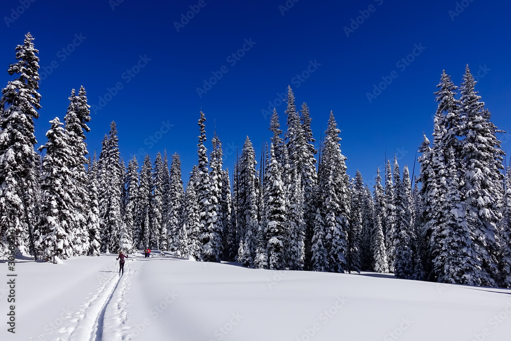 Maintaining An Active Lifestyle During Winter - Cross Country Skiing
