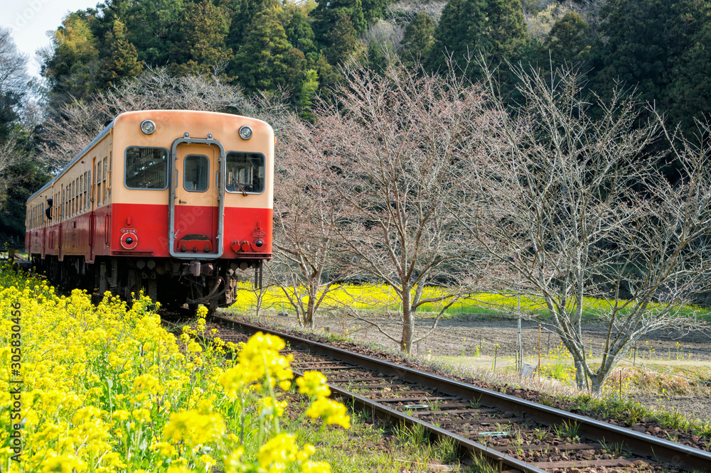 Naklejka premium 春の小湊線