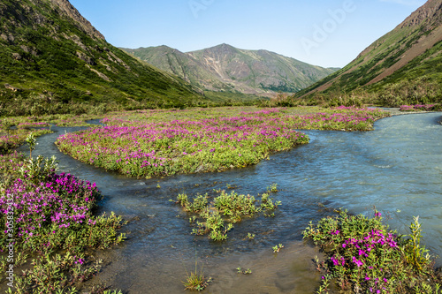 Wide open glacial valley near Eagle River in Alaska. No trails, roads, or people in this wilderness in the backcountry.