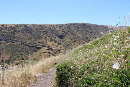 Catalina Hillside Hike