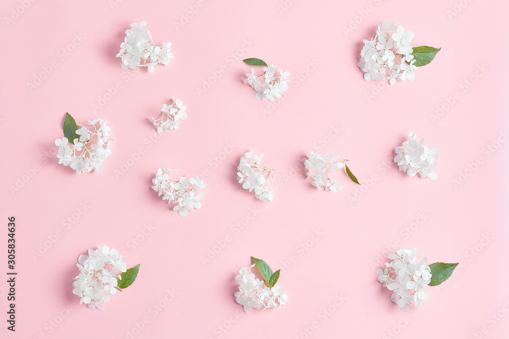 floral pattern made of white fresh hydrangea and green leaves on pink background. top view, flat lay