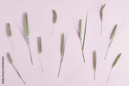 floral pattern. wild fresh herbs on a pink background. flat lay,