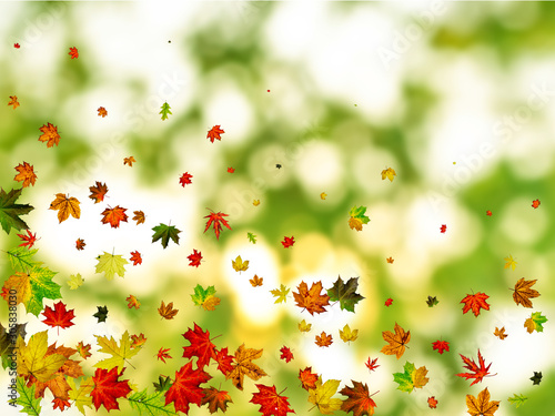 Autumn leaves wind. November falling pattern background. Season concept