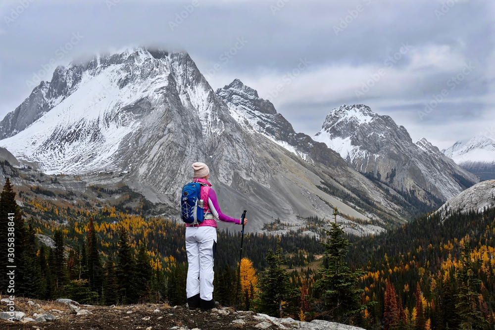 Brave woman hiker with backpack and hiking poles on the cliff looking at snow covered mountains and valley with yellow larch trees. Burstall Pass in Canadian Rockies. Kananaskis. Alberta. Canada