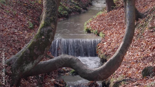 The small waterfall is filmed behind the old city walls of Brasov, Romania, during autumn. It's filmed through a interesting shaped tree, and all the leaves have fallen on the ground. photo