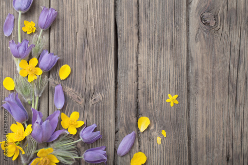 spring purple and yellow  flowers on old wooden background